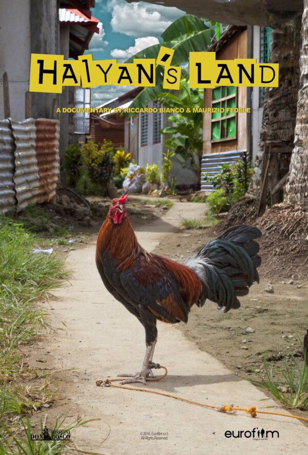 Haiyan’s Land